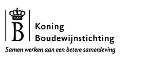 Koning Boudewijnstichting