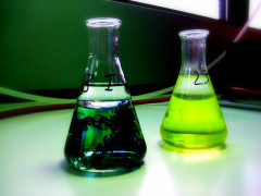Foto:tk-link-Lic.CreativeCommons-https://flic.kr/p/4VABMa
