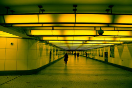 AntonioPonte-Lic;CreativeCommons-https://flic.kr/p/r4pvLo