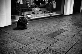 WolfgangLonien-Lic.CreativeCommons:https://flic.kr/p/DZBnHN