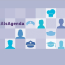De ‘New Skills Agenda’ De ‘New Skills Agenda’