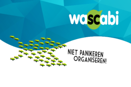 Wascabi