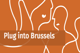 Plug into Brussels