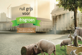 Dikketruiendag