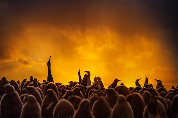 Foto: Ian Parker (Unsplash) via kunstenloket.be