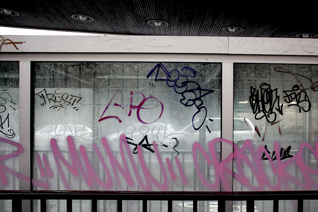 Foto: Lynn Delbeecke iov. Socius