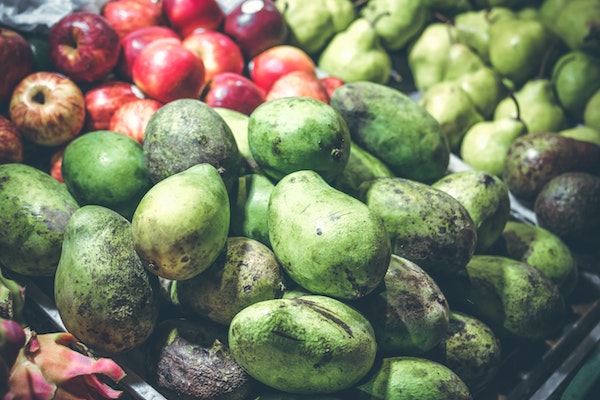 Foto: Artem Bali via pexels.com