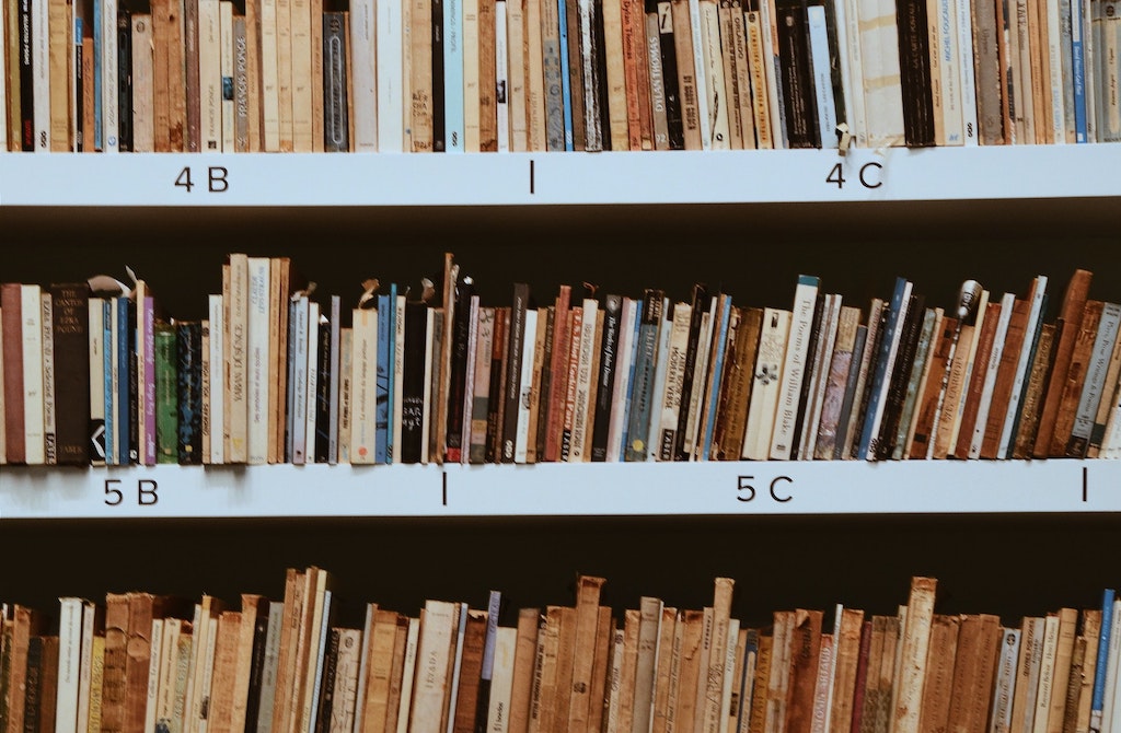 Foto: Ekrulila via pexels.com